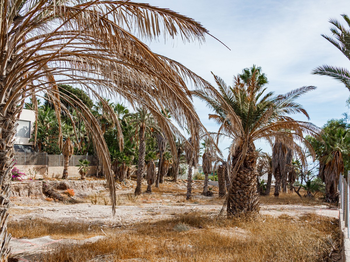 Terreno di 1.803m² in seconda linea di spiaggia, Aguadulce