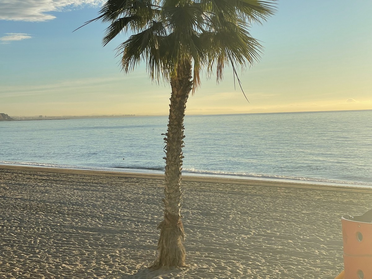 1.803m² großes Grundstück in zweiter Strandlinie, Aguadulce