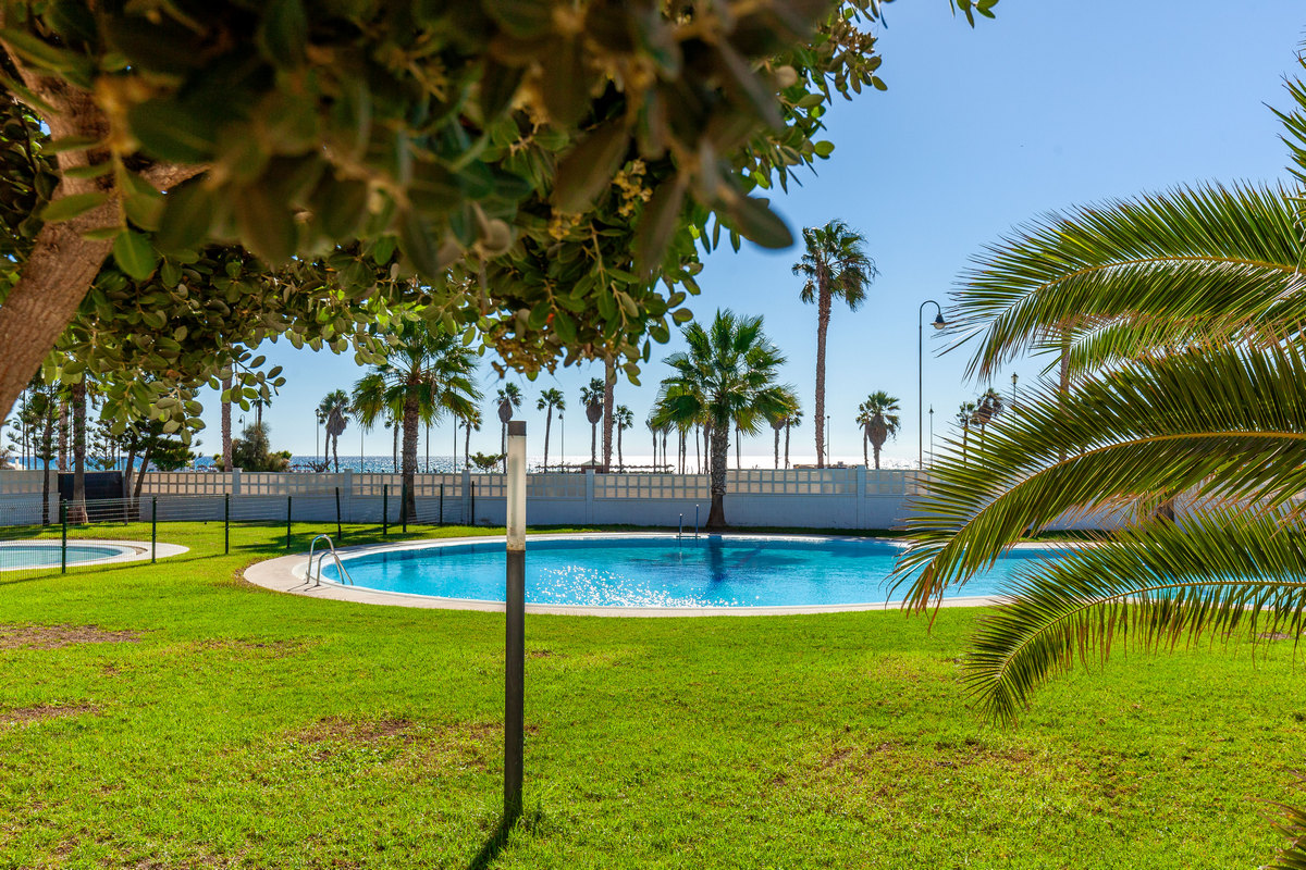 Luxurious flat, first beach line, Complex Mirador de Playa Serena