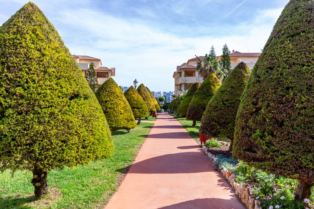 Magnificent apartment in 1st beach line, Complex Villa Romana