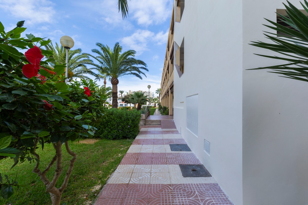 Apartment with sea views, ‘Club Tropicana’ complex, beachfront