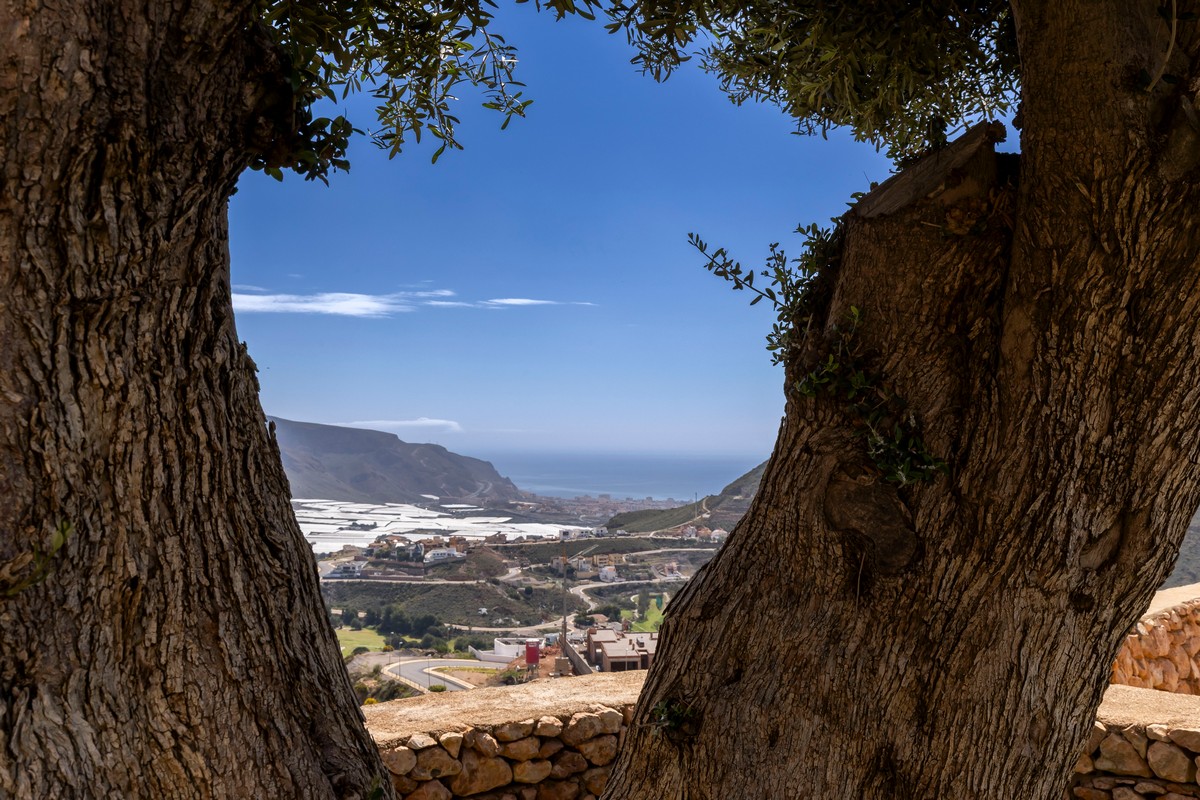 Extraordinary detached villa with independent flat and sea views