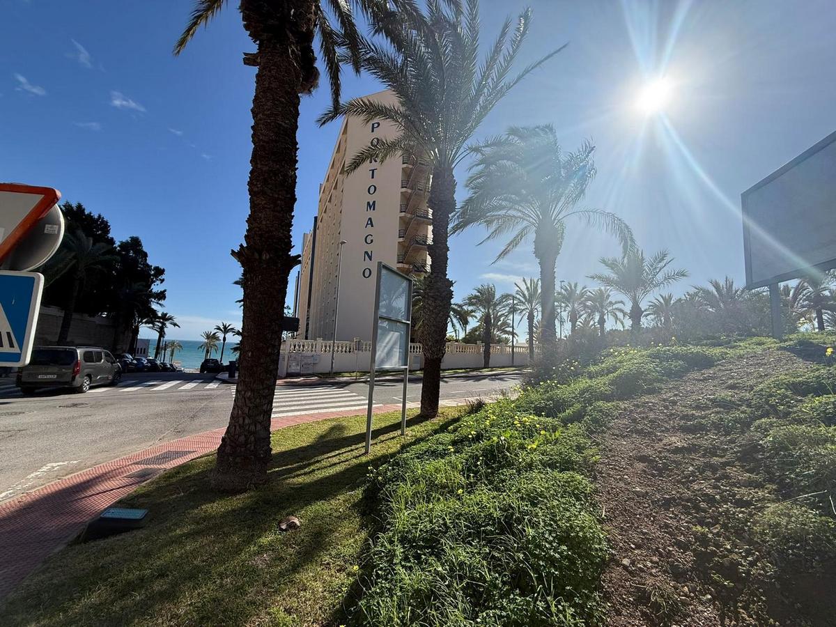 2.535 m² großes Grundstück in privilegierter Lage – Aguadulce